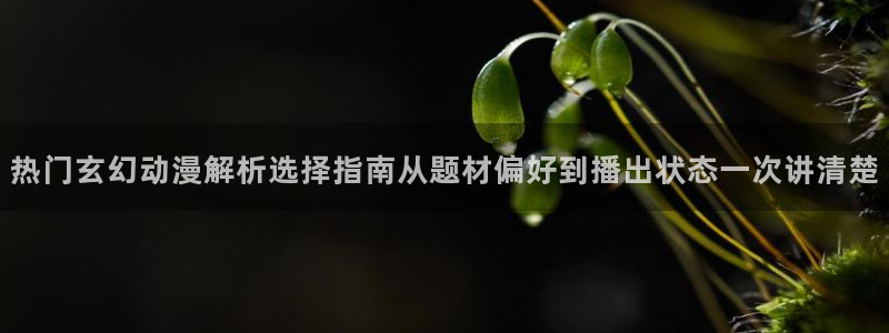 欧美动漫推荐:热门玄幻动漫解析选择指南从题材偏好到播出状态一次讲清楚