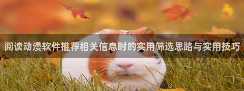 治愈动漫推荐:阅读动漫软件推荐相关信息时的实用筛选思路与实用技巧