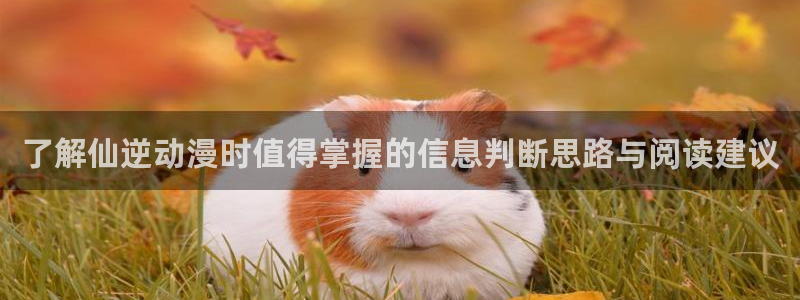 动漫番剧:了解仙逆动漫时值得掌握的信息判断思路与阅读建议