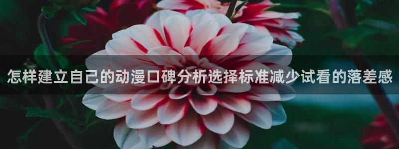 冒险动漫推荐:怎样建立自己的动漫口碑分析选择标准减少试看的落差感
