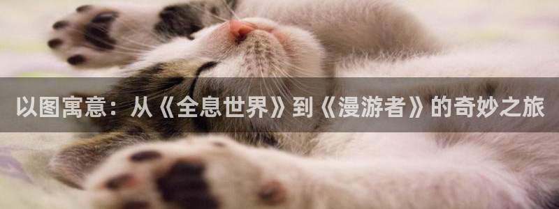 机战动漫:以图寓意:从《全息世界》到《漫游者》的奇妙之旅