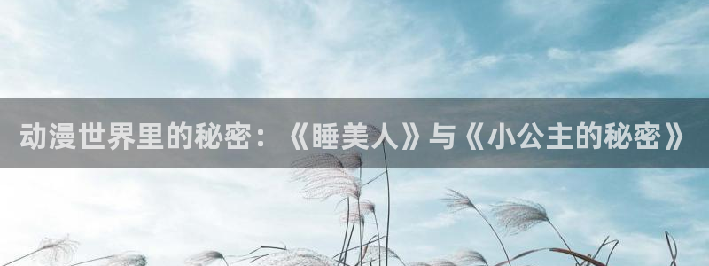 国产动漫大全：动漫世界里的秘密：《睡美人》与《小公主的秘密》